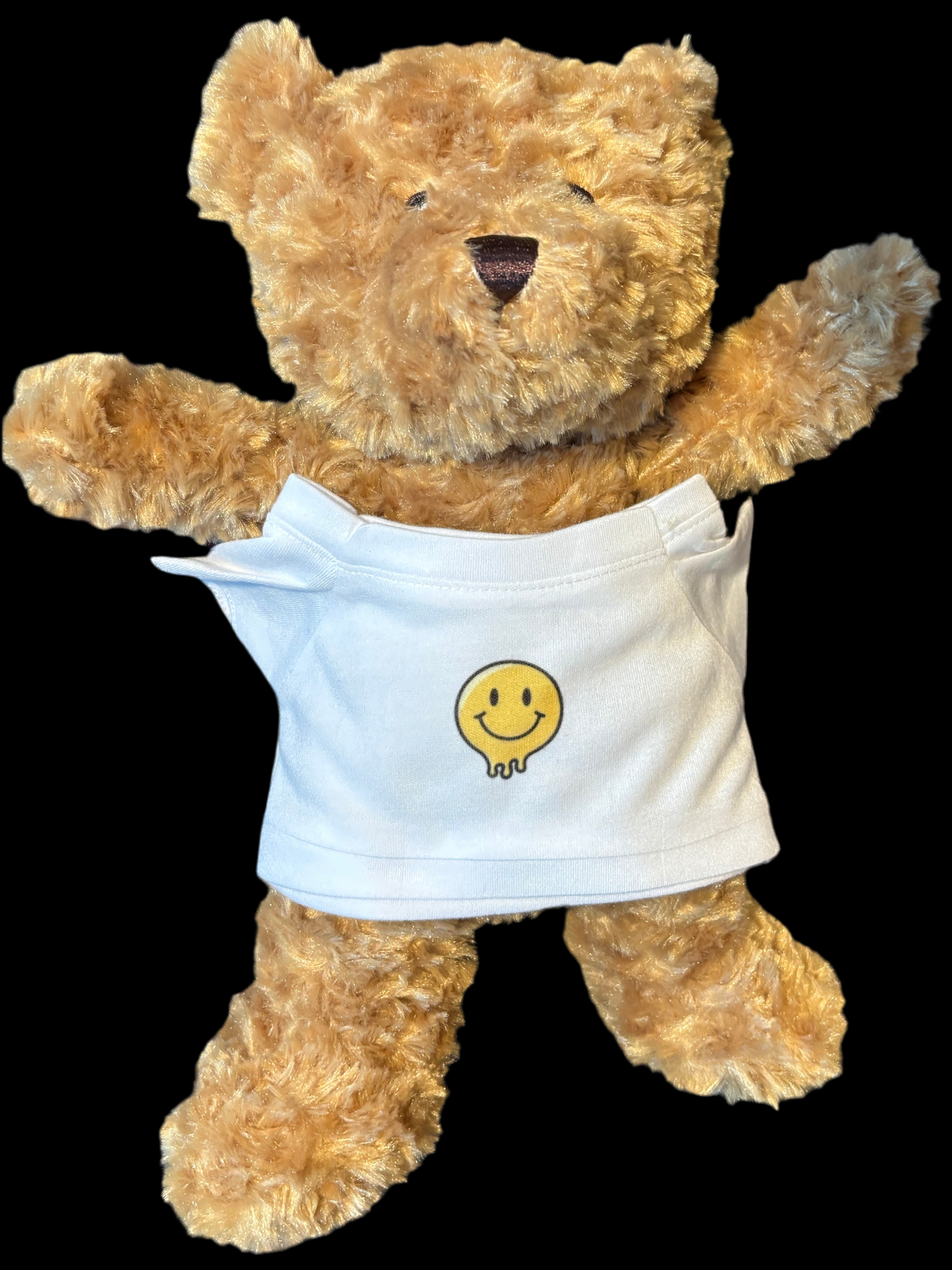 Teddy Bear with a T-shirt