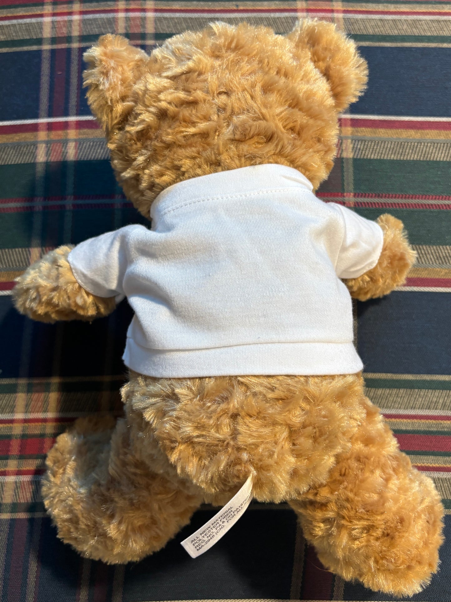 Teddy Bear with a T-shirt