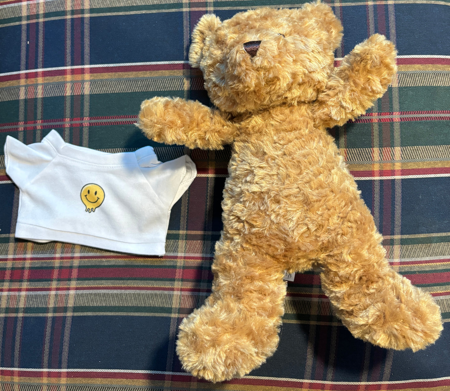 Teddy Bear with a T-shirt