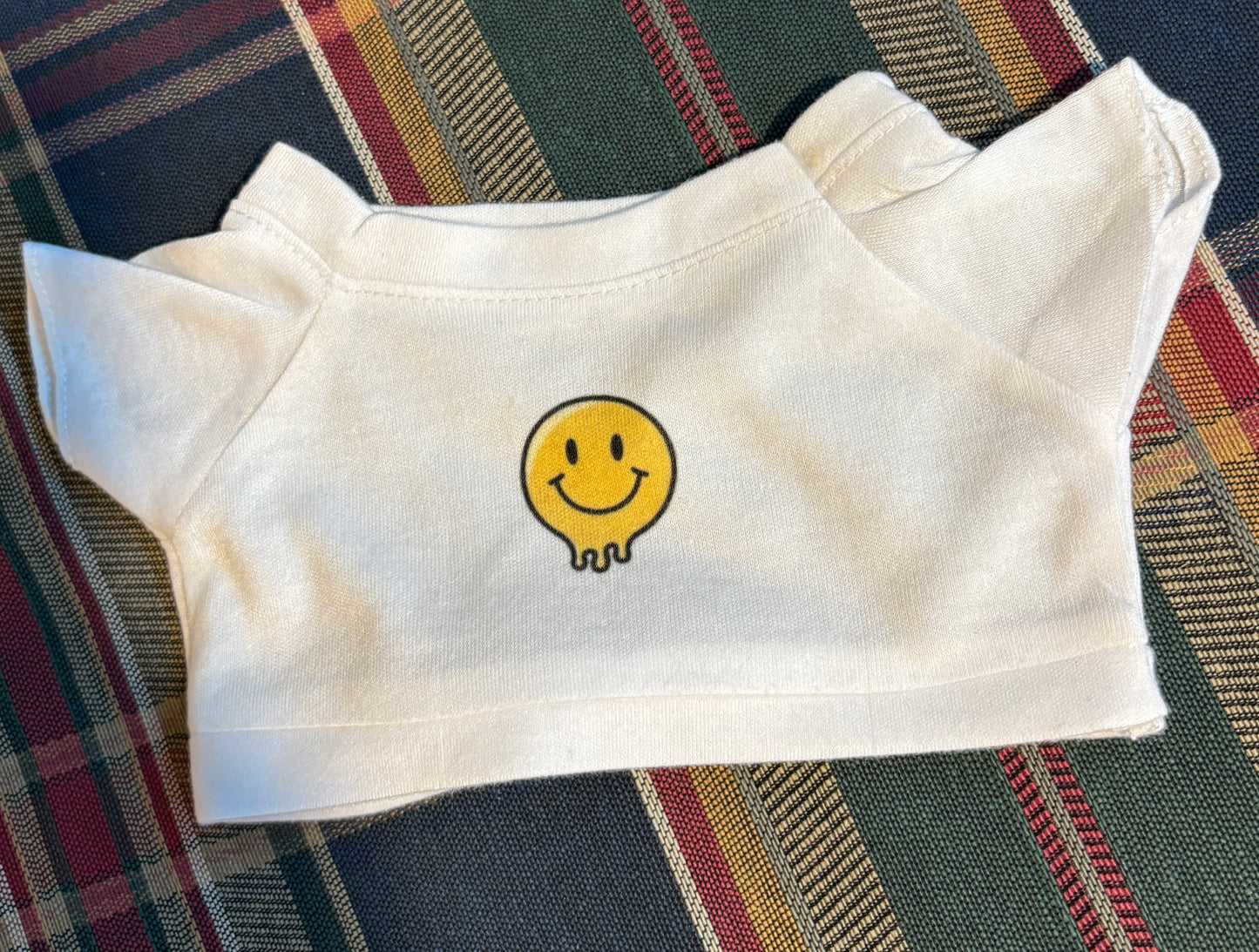 Teddy Bear with a T-shirt