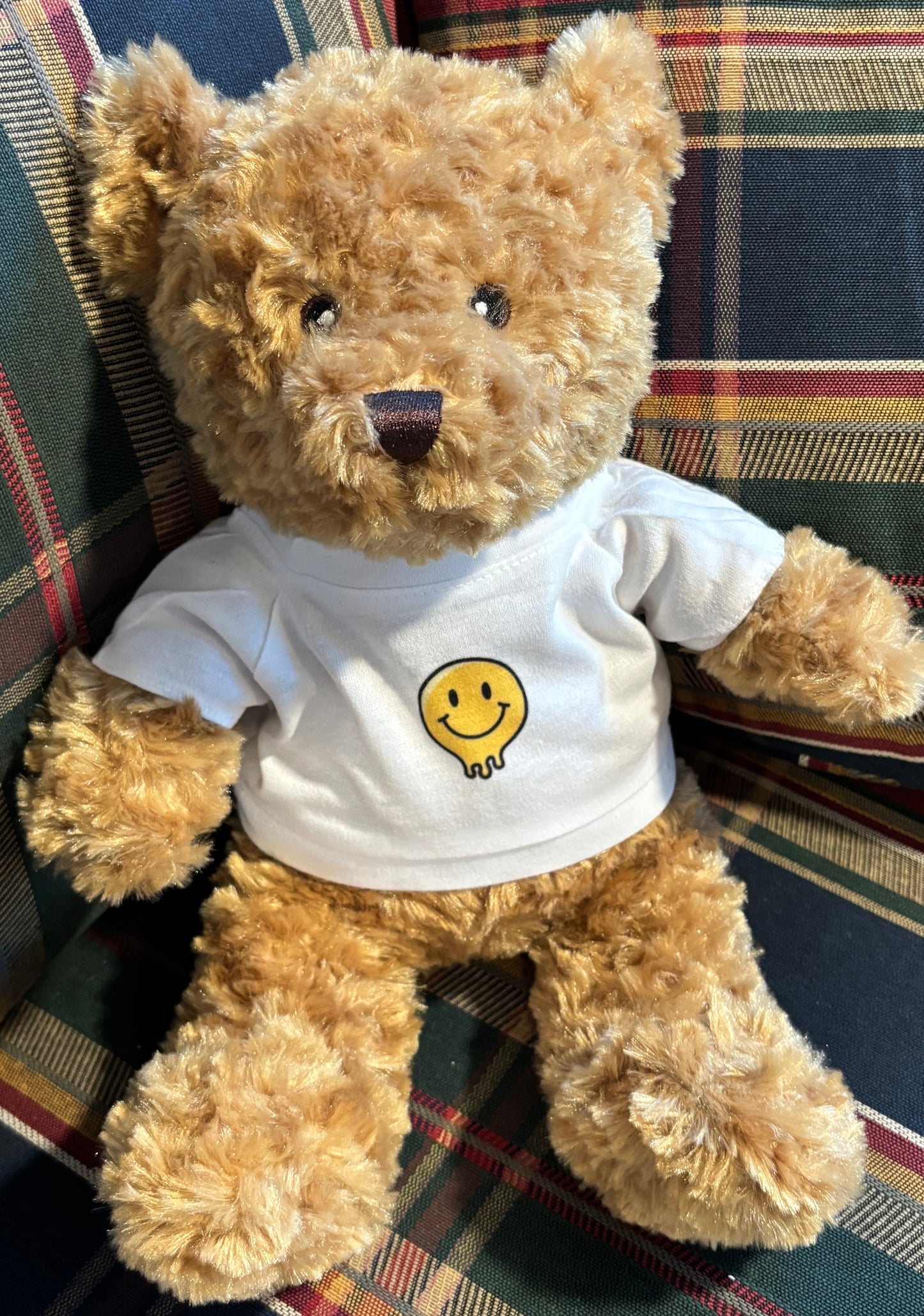 Teddy Bear with a T-shirt