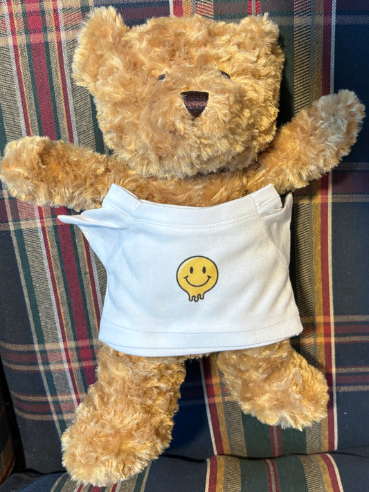 Teddy Bear with a T-shirt